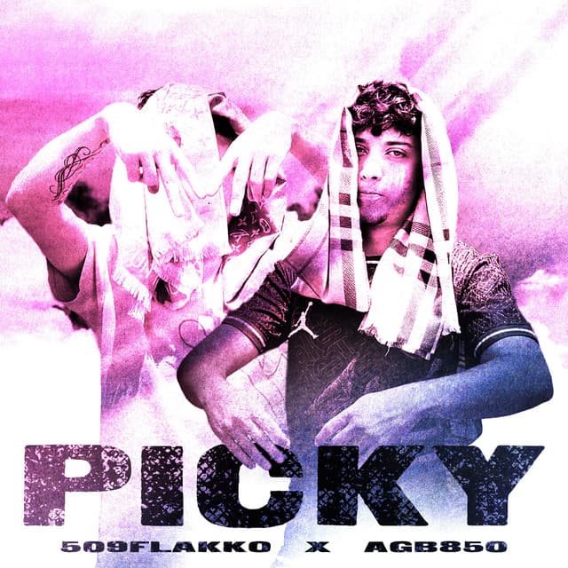 509flakko, AGB850 — Picky